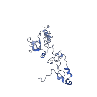 11796_7aih_C_v1-0
The Large subunit of the Kinetoplastid mitochondrial ribosome