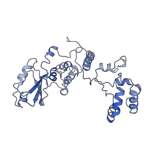 11796_7aih_E_v1-0
The Large subunit of the Kinetoplastid mitochondrial ribosome