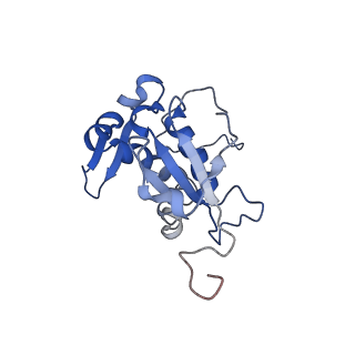 11796_7aih_F_v1-0
The Large subunit of the Kinetoplastid mitochondrial ribosome