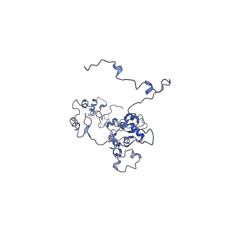 11796_7aih_G_v1-0
The Large subunit of the Kinetoplastid mitochondrial ribosome