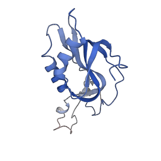 11796_7aih_H_v1-0
The Large subunit of the Kinetoplastid mitochondrial ribosome