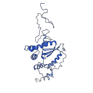 11796_7aih_I_v1-0
The Large subunit of the Kinetoplastid mitochondrial ribosome