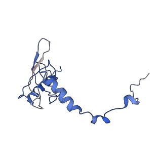 11796_7aih_J_v1-0
The Large subunit of the Kinetoplastid mitochondrial ribosome