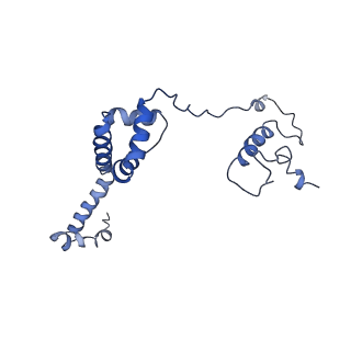 11796_7aih_K_v1-0
The Large subunit of the Kinetoplastid mitochondrial ribosome