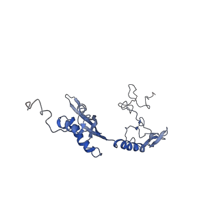 11796_7aih_M_v1-0
The Large subunit of the Kinetoplastid mitochondrial ribosome