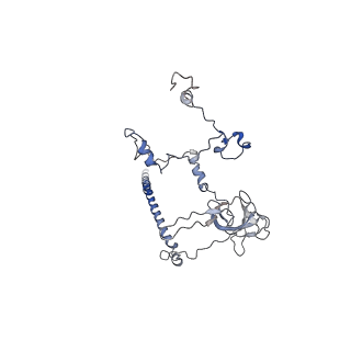 11796_7aih_O_v1-0
The Large subunit of the Kinetoplastid mitochondrial ribosome