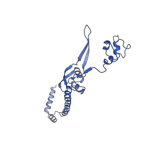 11796_7aih_Q_v1-0
The Large subunit of the Kinetoplastid mitochondrial ribosome