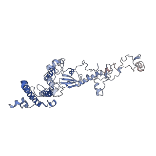 11796_7aih_R_v1-0
The Large subunit of the Kinetoplastid mitochondrial ribosome