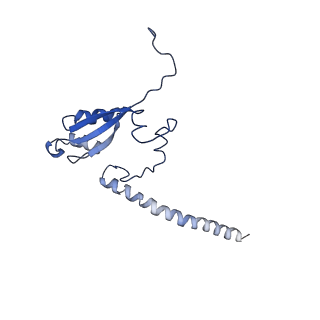 11796_7aih_S_v1-0
The Large subunit of the Kinetoplastid mitochondrial ribosome