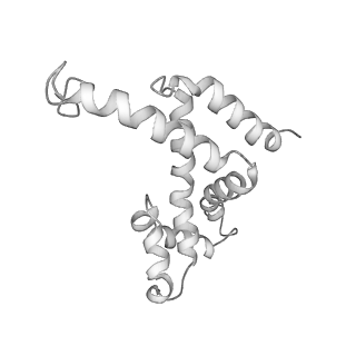 11796_7aih_UC_v1-0
The Large subunit of the Kinetoplastid mitochondrial ribosome