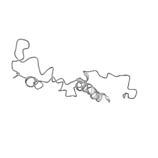 11796_7aih_UD_v1-0
The Large subunit of the Kinetoplastid mitochondrial ribosome
