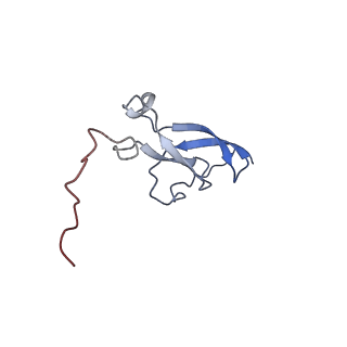 11796_7aih_U_v1-0
The Large subunit of the Kinetoplastid mitochondrial ribosome