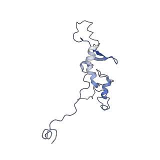11796_7aih_V_v1-0
The Large subunit of the Kinetoplastid mitochondrial ribosome