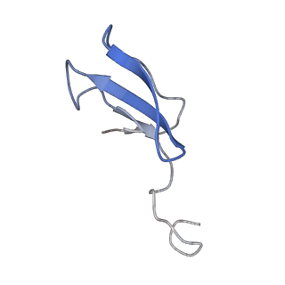 11796_7aih_W_v1-0
The Large subunit of the Kinetoplastid mitochondrial ribosome