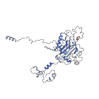 11796_7aih_X_v1-0
The Large subunit of the Kinetoplastid mitochondrial ribosome