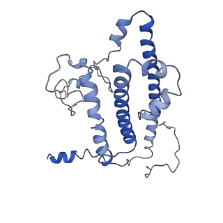 11796_7aih_Y_v1-0
The Large subunit of the Kinetoplastid mitochondrial ribosome
