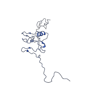 11796_7aih_Z_v1-0
The Large subunit of the Kinetoplastid mitochondrial ribosome
