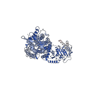 11799_7ain_A_v1-2
Structure of Human Potassium Chloride Transporter KCC3 S45D/T940D/T997D in NaCl (Reference Map)