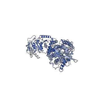 11799_7ain_B_v1-2
Structure of Human Potassium Chloride Transporter KCC3 S45D/T940D/T997D in NaCl (Reference Map)