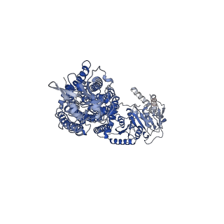 11800_7aio_A_v1-0
Structure of Human Potassium Chloride Transporter KCC3 S45D/T940D/T997D in NaCl (Subclass)