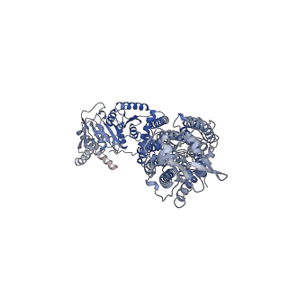 11800_7aio_B_v1-0
Structure of Human Potassium Chloride Transporter KCC3 S45D/T940D/T997D in NaCl (Subclass)