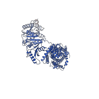 11801_7aip_B_v1-2
Structure of Human Potassium Chloride Transporter KCC1 in NaCl (Reference Map)