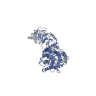 11802_7aiq_B_v1-2
Structure of Human Potassium Chloride Transporter KCC1 in NaCl (Subclass 1)