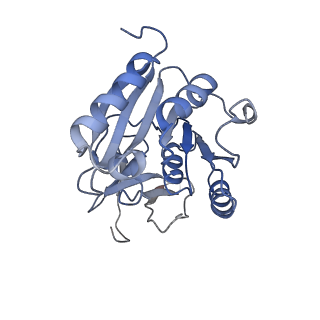 11807_7ajt_CA_v1-1
Cryo-EM structure of the 90S-exosome super-complex (state Pre-A1-exosome)