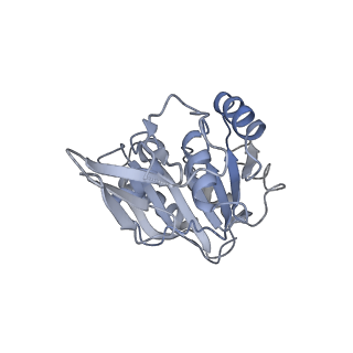 11807_7ajt_CB_v1-1
Cryo-EM structure of the 90S-exosome super-complex (state Pre-A1-exosome)