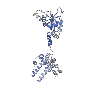 11807_7ajt_CD_v1-1
Cryo-EM structure of the 90S-exosome super-complex (state Pre-A1-exosome)