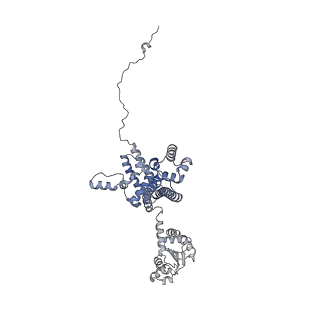11807_7ajt_CE_v1-1
Cryo-EM structure of the 90S-exosome super-complex (state Pre-A1-exosome)