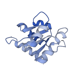 11807_7ajt_CF_v1-1
Cryo-EM structure of the 90S-exosome super-complex (state Pre-A1-exosome)
