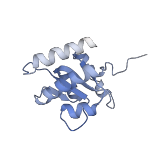 11807_7ajt_CG_v1-1
Cryo-EM structure of the 90S-exosome super-complex (state Pre-A1-exosome)