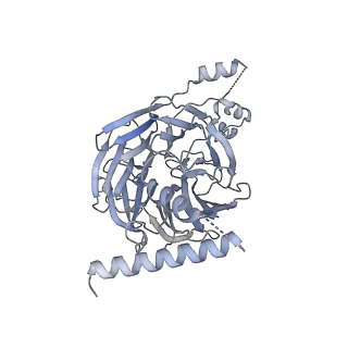 11807_7ajt_CH_v1-1
Cryo-EM structure of the 90S-exosome super-complex (state Pre-A1-exosome)