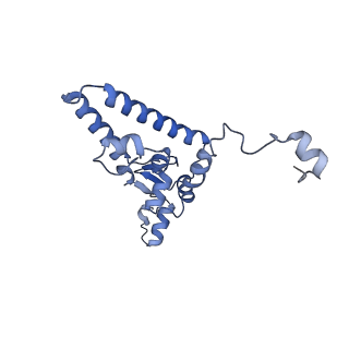 11807_7ajt_CI_v1-1
Cryo-EM structure of the 90S-exosome super-complex (state Pre-A1-exosome)