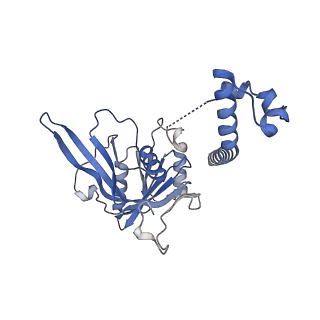 11807_7ajt_CJ_v1-1
Cryo-EM structure of the 90S-exosome super-complex (state Pre-A1-exosome)