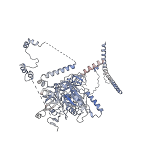 11807_7ajt_CL_v1-1
Cryo-EM structure of the 90S-exosome super-complex (state Pre-A1-exosome)