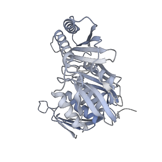 11807_7ajt_CM_v1-1
Cryo-EM structure of the 90S-exosome super-complex (state Pre-A1-exosome)