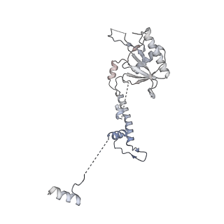 11807_7ajt_CN_v1-1
Cryo-EM structure of the 90S-exosome super-complex (state Pre-A1-exosome)