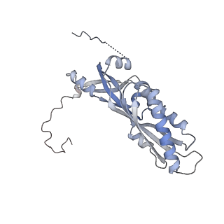 11807_7ajt_DA_v1-1
Cryo-EM structure of the 90S-exosome super-complex (state Pre-A1-exosome)