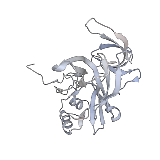 11807_7ajt_DE_v1-1
Cryo-EM structure of the 90S-exosome super-complex (state Pre-A1-exosome)