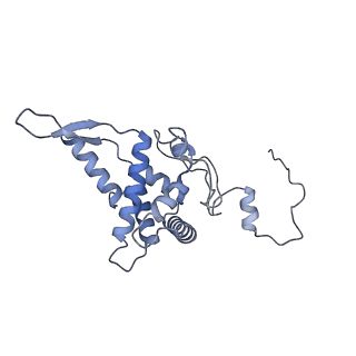 11807_7ajt_DF_v1-1
Cryo-EM structure of the 90S-exosome super-complex (state Pre-A1-exosome)