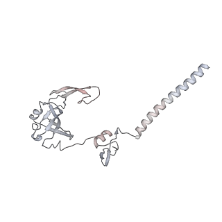 11807_7ajt_DG_v1-1
Cryo-EM structure of the 90S-exosome super-complex (state Pre-A1-exosome)