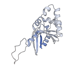 11807_7ajt_DH_v1-1
Cryo-EM structure of the 90S-exosome super-complex (state Pre-A1-exosome)