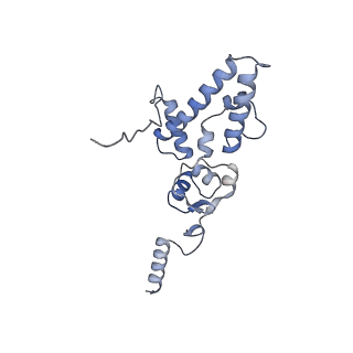 11807_7ajt_DJ_v1-1
Cryo-EM structure of the 90S-exosome super-complex (state Pre-A1-exosome)