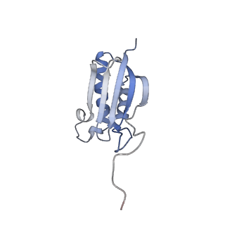 11807_7ajt_DO_v1-1
Cryo-EM structure of the 90S-exosome super-complex (state Pre-A1-exosome)
