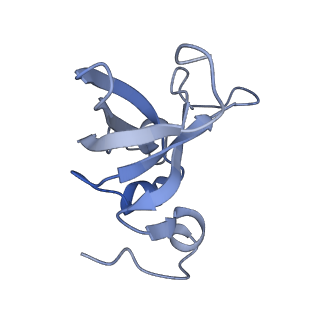11807_7ajt_DX_v1-1
Cryo-EM structure of the 90S-exosome super-complex (state Pre-A1-exosome)