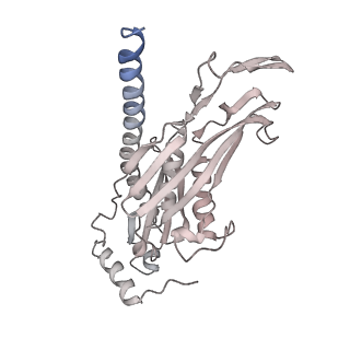 11807_7ajt_EB_v1-1
Cryo-EM structure of the 90S-exosome super-complex (state Pre-A1-exosome)