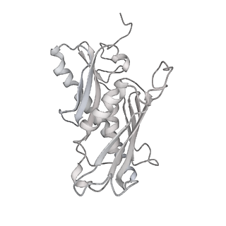 11807_7ajt_EC_v1-1
Cryo-EM structure of the 90S-exosome super-complex (state Pre-A1-exosome)