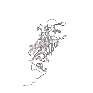 11807_7ajt_ED_v1-1
Cryo-EM structure of the 90S-exosome super-complex (state Pre-A1-exosome)